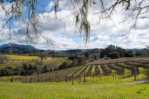 30 things to do in Sonoma County: winery tour in Sonoma County