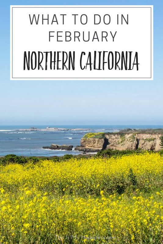 What to do in Northern California in February