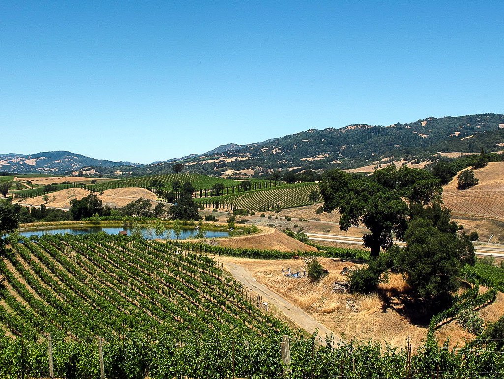 Where to taste wine in Sonoma County