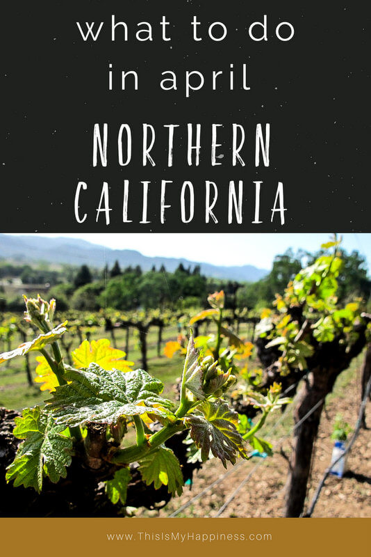 What to do in Northern California in April