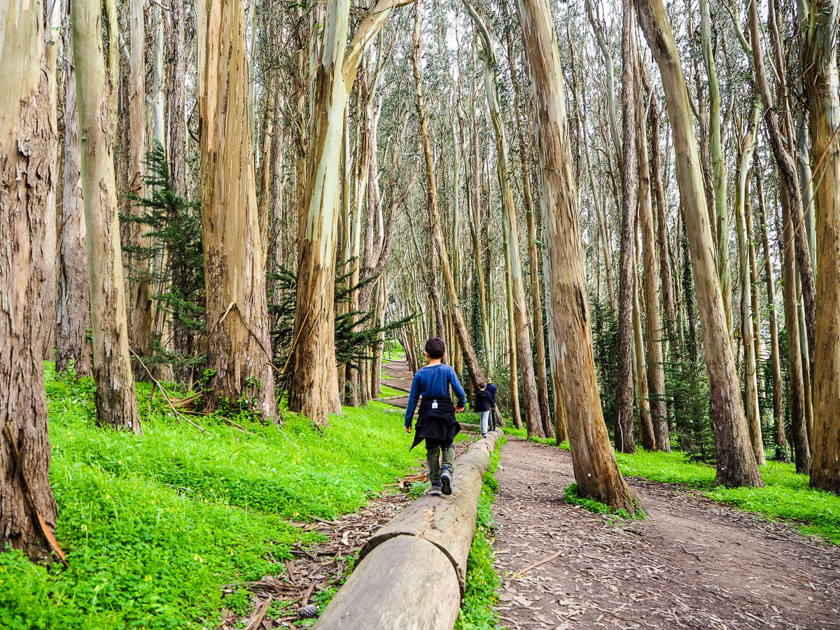 What to do in San Francisco