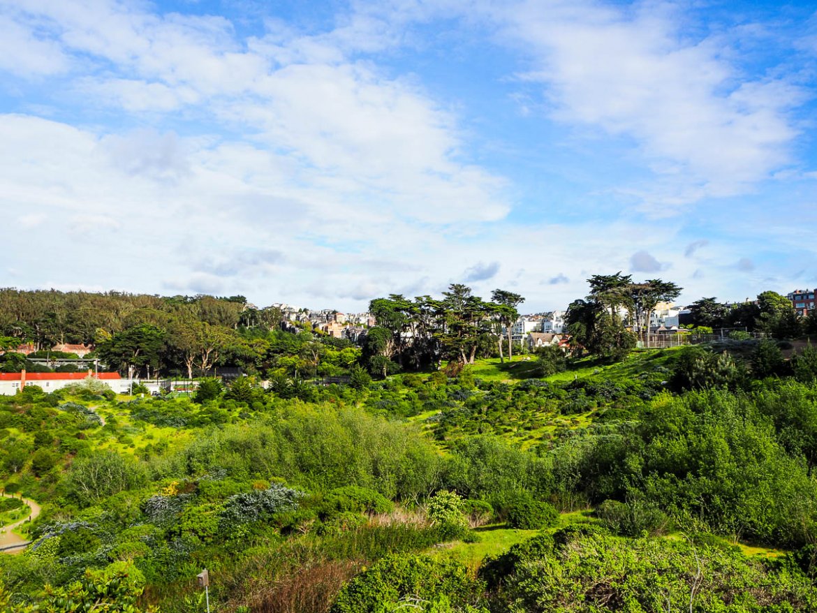 What to do in San Francisco: Presidio