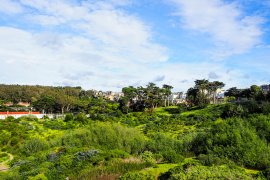 What to do in San Francisco: Presidio