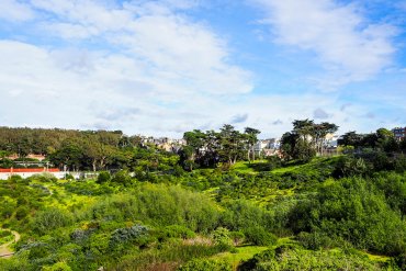 What to do in San Francisco: Presidio