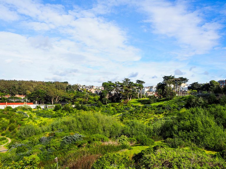 What to do in San Francisco: Presidio
