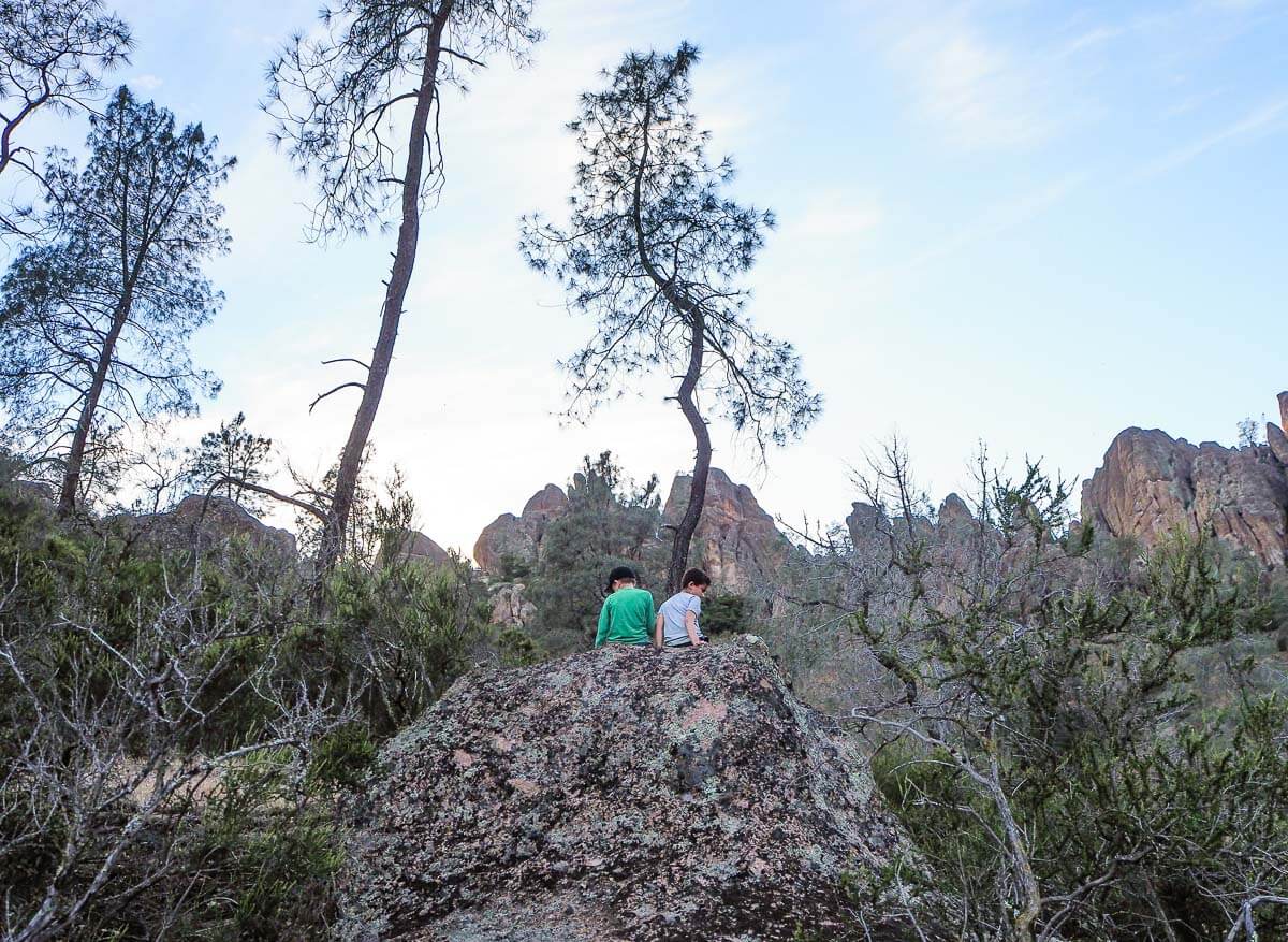  Pinnacles National Park hikes with kids