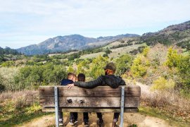 best trips in northern california
