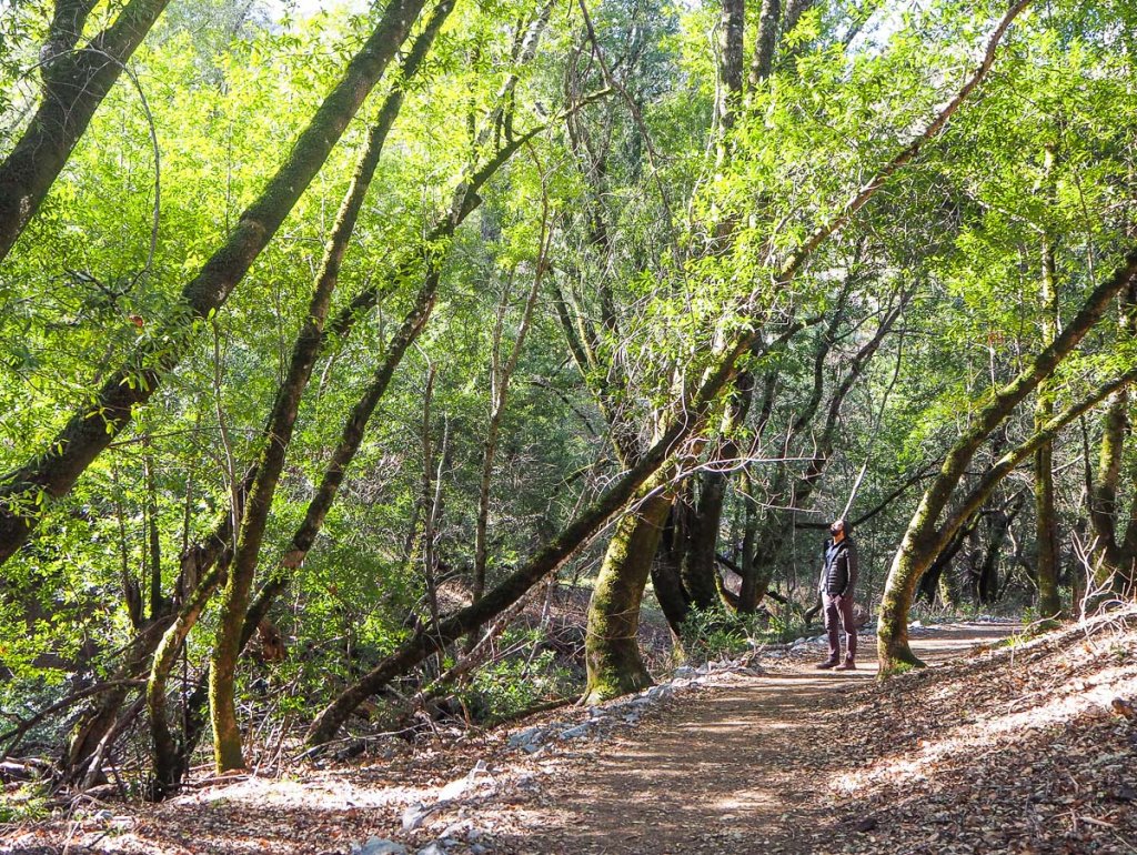 where to go camping sonoma county
