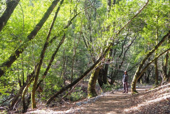 where to go camping sonoma county