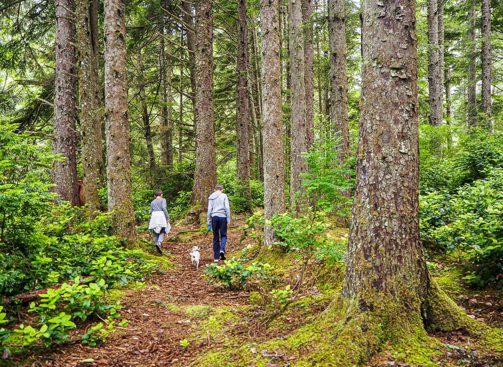 Camping trip in Southern Oregon coast