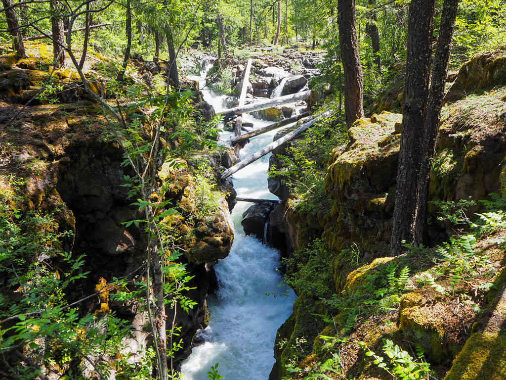 Camping trip Southern Oregon