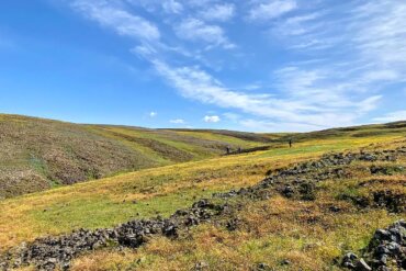 north table mountain ecological reserve: best wildflower hike