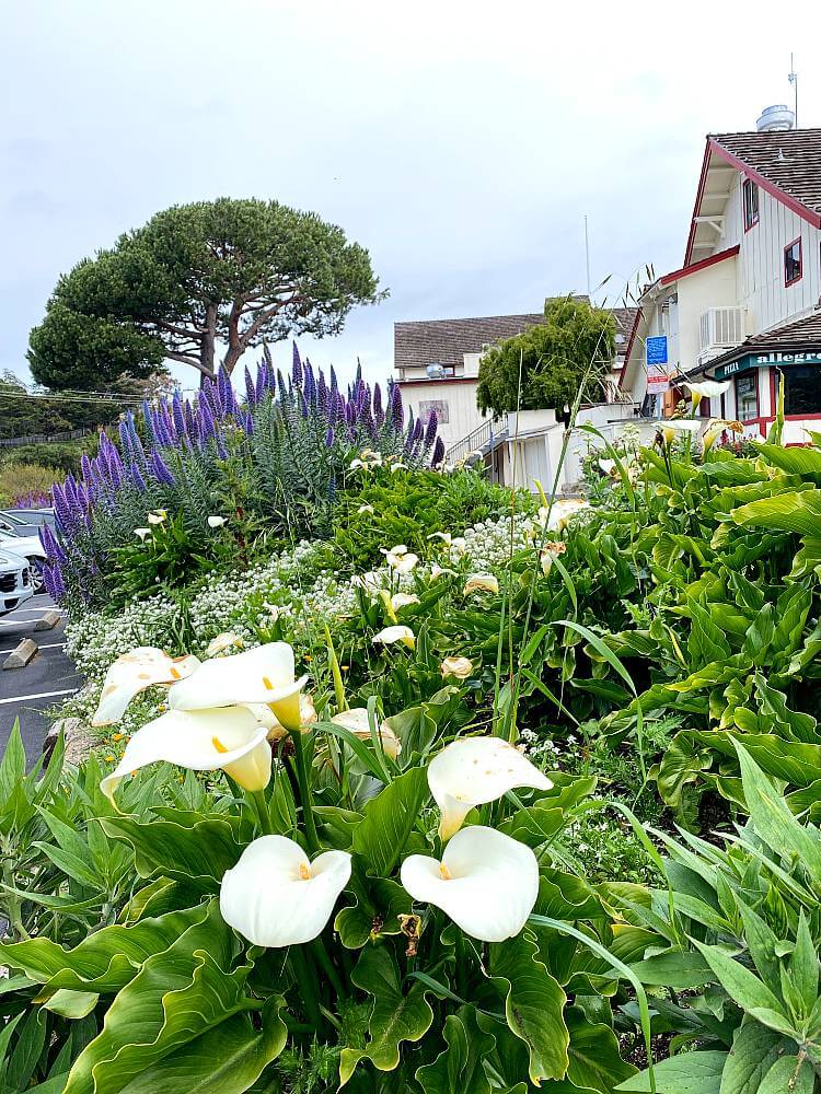 Carmel by the Sea Hotels: Where to Stay in Carmel